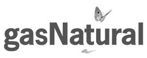Gas Natural